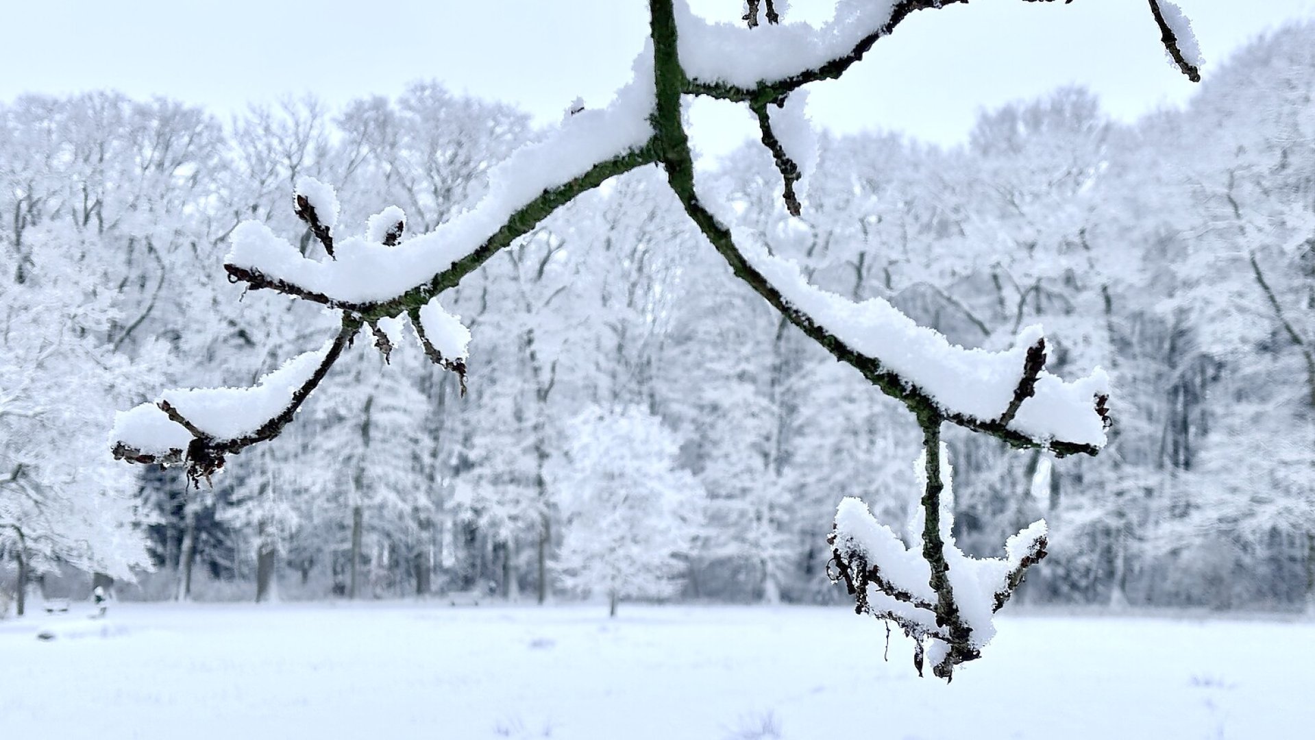 Schnee in Ostfriesland (Fotos der Redaktion) - Bild 8