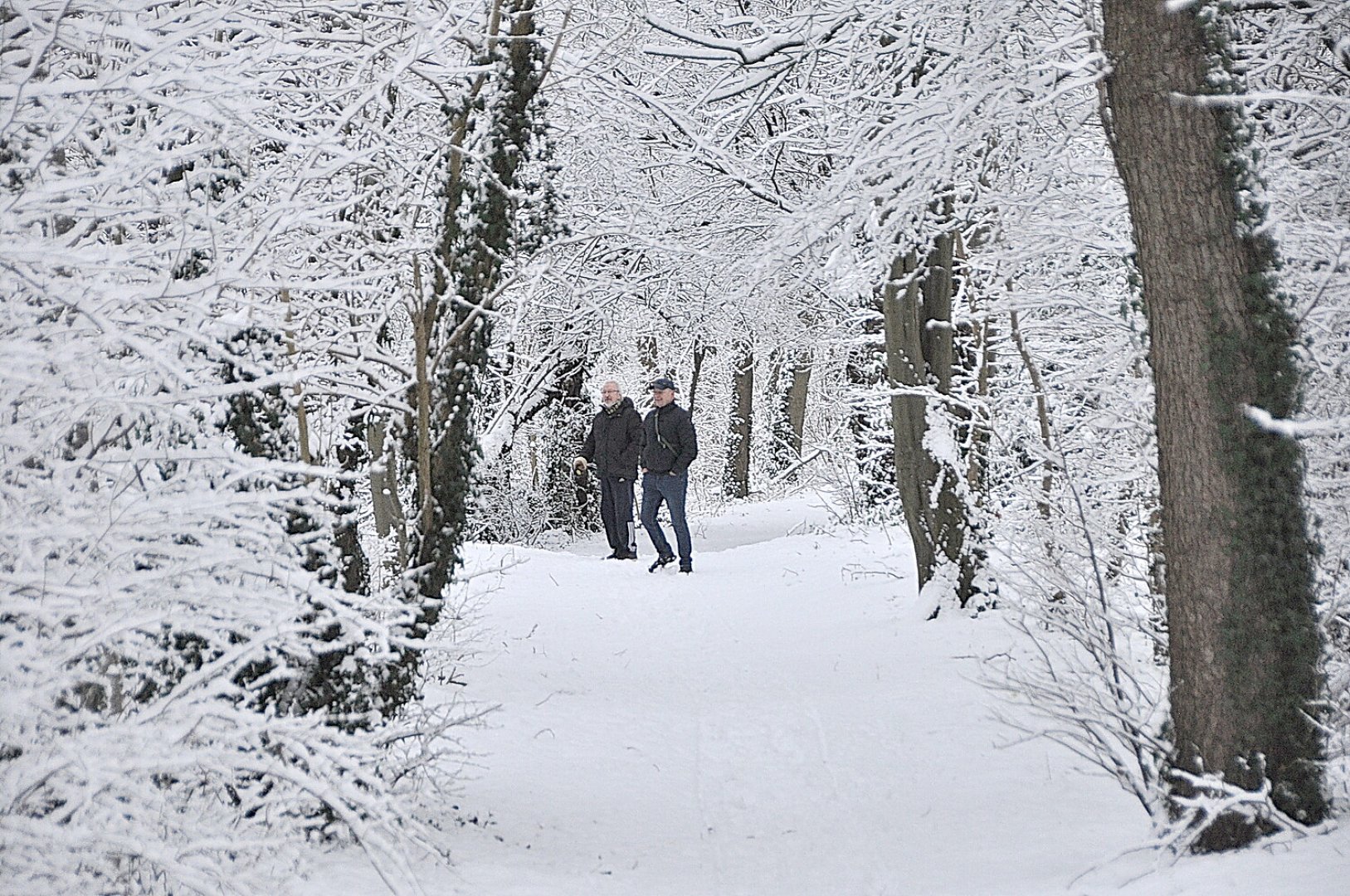 Schnee in Ostfriesland (Fotos der Redaktion) - Bild 61