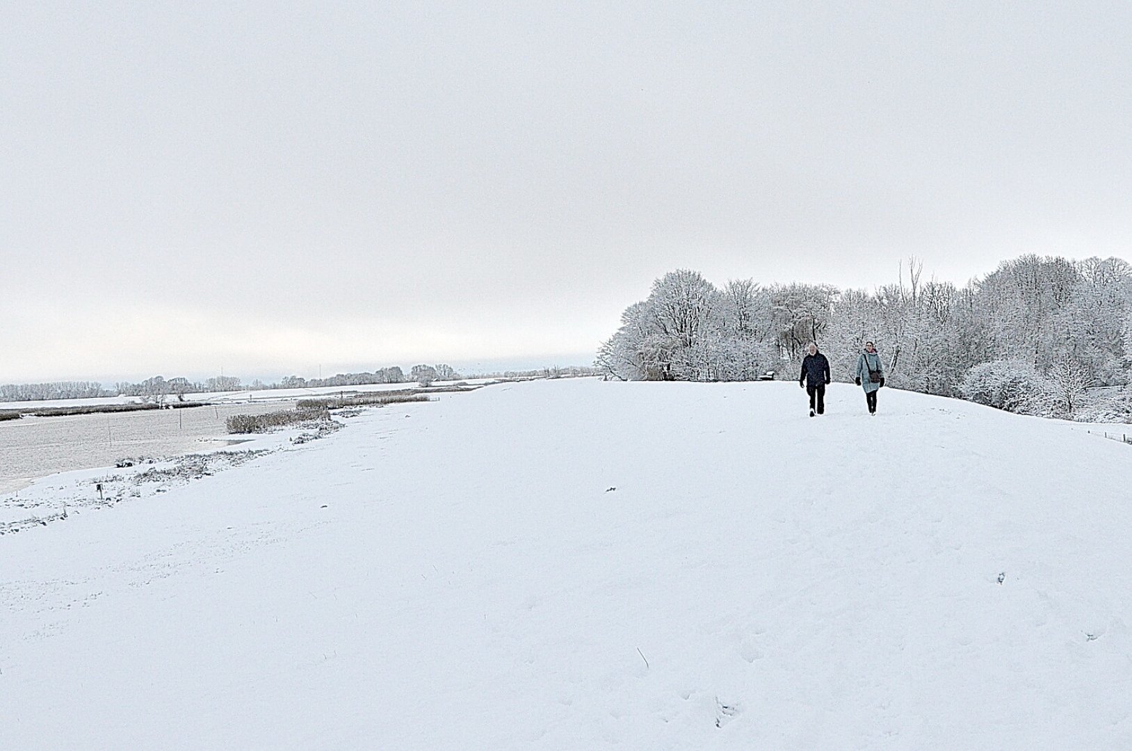 Schnee in Ostfriesland (Fotos der Redaktion) - Bild 64