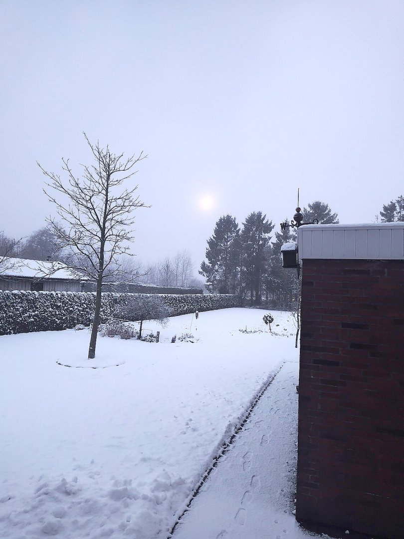 Schnee in Ostfriesland (Leserfotos, Teil 3) - Bild 10