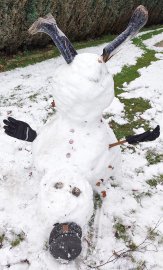 Schnee in Ostfriesland (Leserfotos, Teil 3) - Bild 62