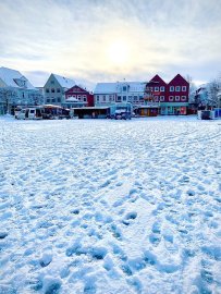 Schnee in Ostfriesland (Leserfotos, Teil 3) - Bild 13