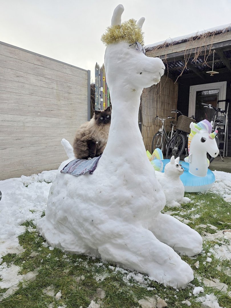 Schnee in Ostfriesland (Leserfotos, Teil 3) - Bild 46