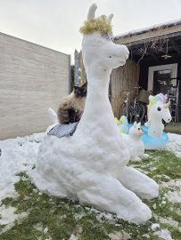 Schnee in Ostfriesland (Leserfotos, Teil 3) - Bild 46