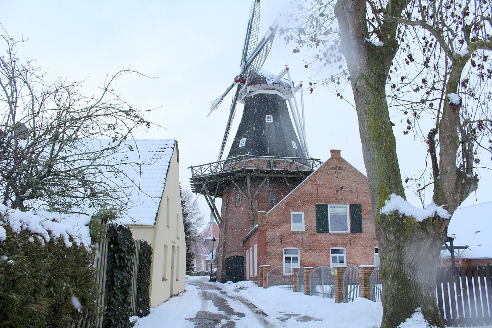 Schnee in Ostfriesland (Leserfotos, Teil 3) - Bild 48