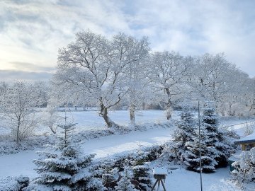 Schnee in Ostfriesland (Leserfotos, Teil 3) - Bild 57