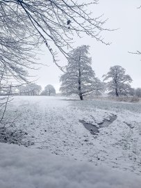 Schnee in Ostfriesland (Leserfotos, Teil 3) - Bild 11