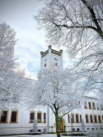 Schnee in Ostfriesland (Leserfotos, Teil 3) - Bild 12