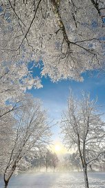 Schnee in Ostfriesland (Leserfotos, Teil 3) - Bild 27