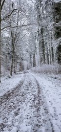 Schnee in Ostfriesland (Leserfotos, Teil 3) - Bild 36