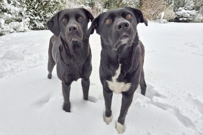 Schnee im Oberledingerland und Emsland - Bild 4