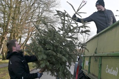 Tannenbaumaktion der Landjugend - Bild 4