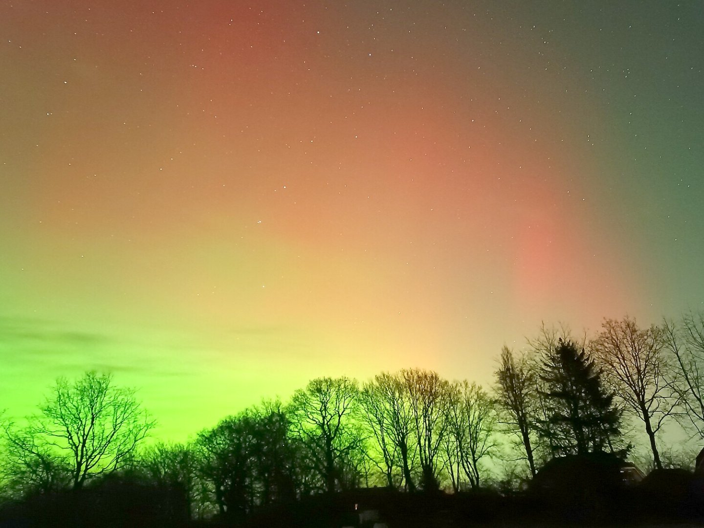 Polarlichter am Himmel über Ostfriesland  - Bild 17