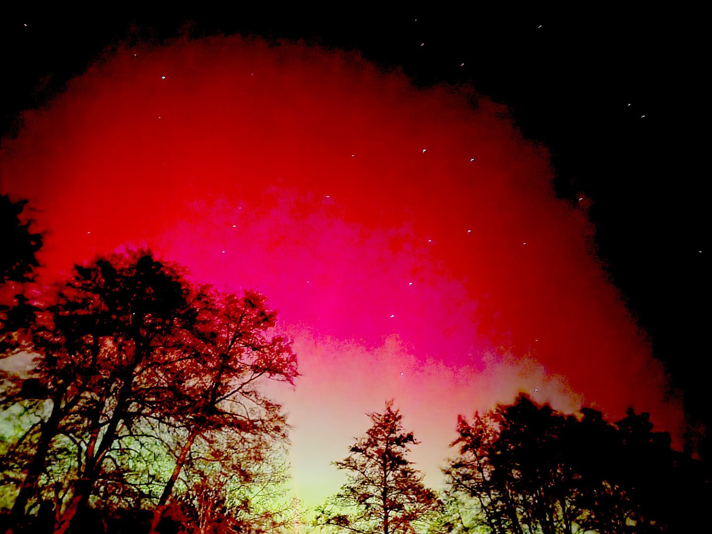 Polarlichter am Himmel über Ostfriesland  - Bild 27