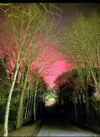 Polarlichter am Himmel über Ostfriesland  - Bild 9