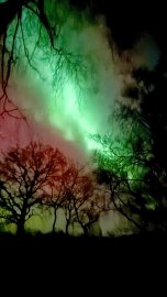 Polarlichter am Himmel über Ostfriesland  - Bild 34