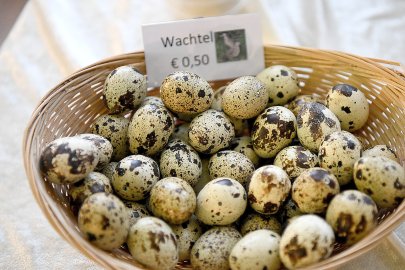 Ostereiermarkt in Filsum - Bild 16