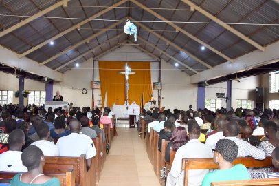 Ostfriesen in Uganda - Bild 3