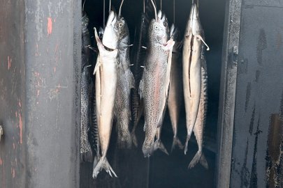 Fischessen in Burlage - Bild 2