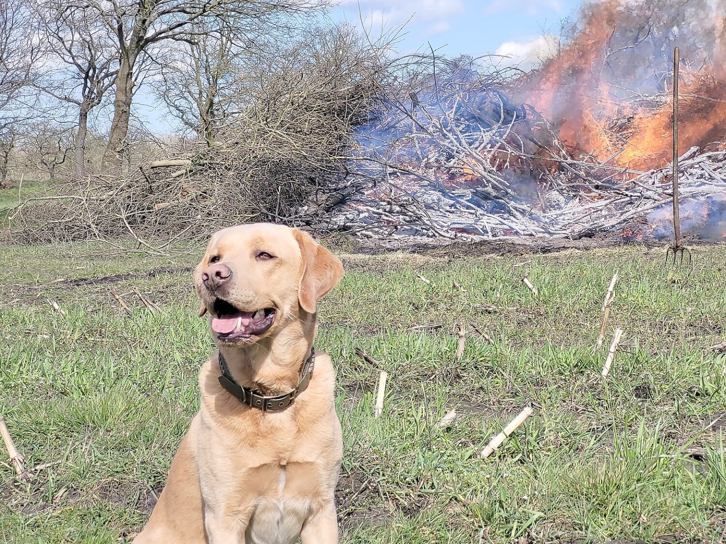 Osterfeuer 2026 – die Fotos der Leser - Bild 1