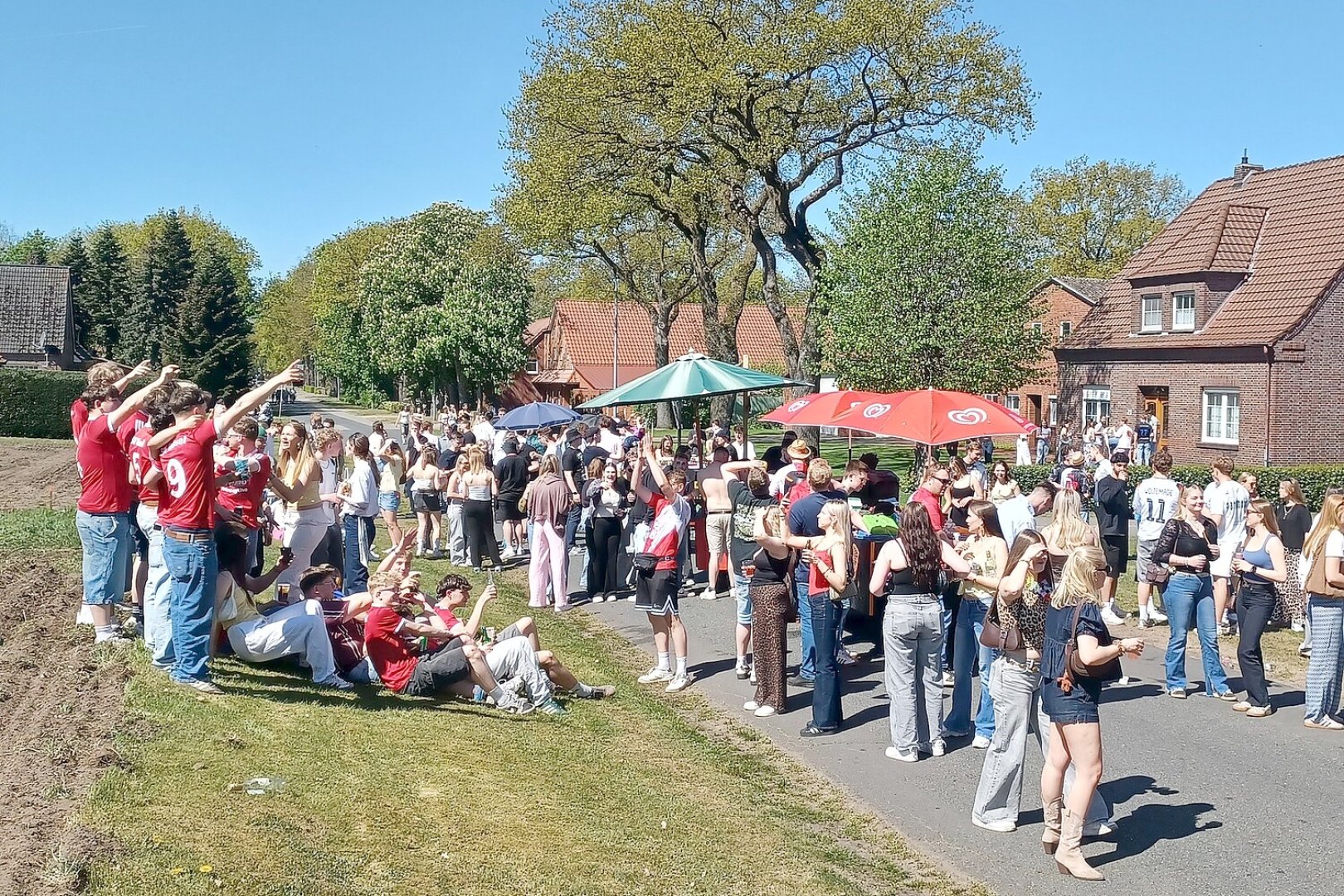 Maisause in Ellerbrock - Bild 1