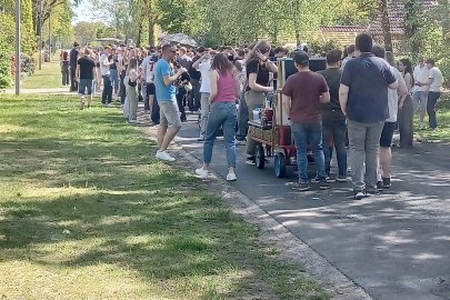Maisause in Ellerbrock - Bild 3
