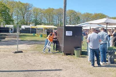Maisause in Ellerbrock - Bild 4