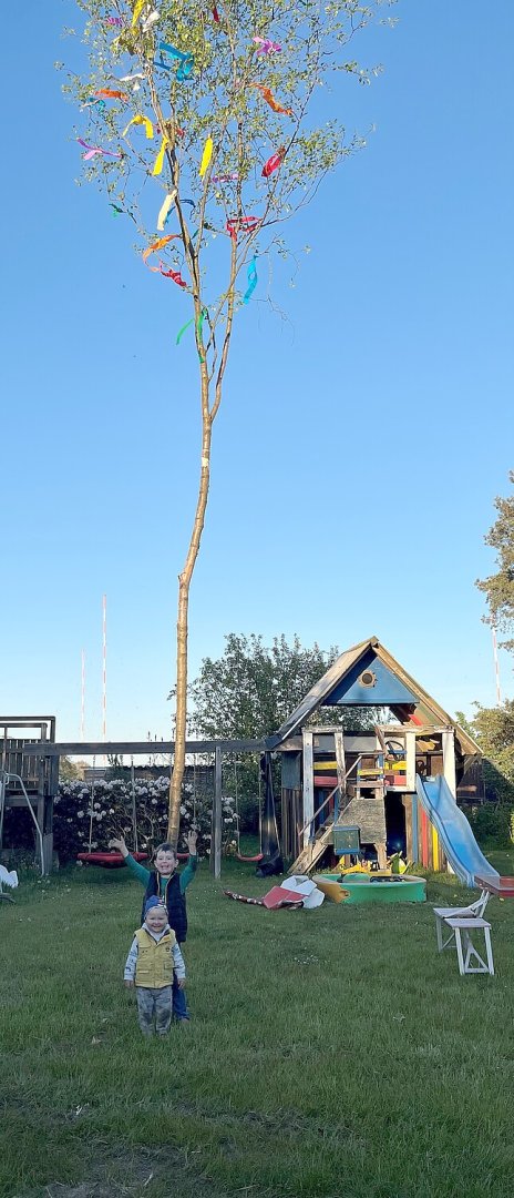 Maibäume – das sind die Bilder aus Ostfriesland - Bild 7