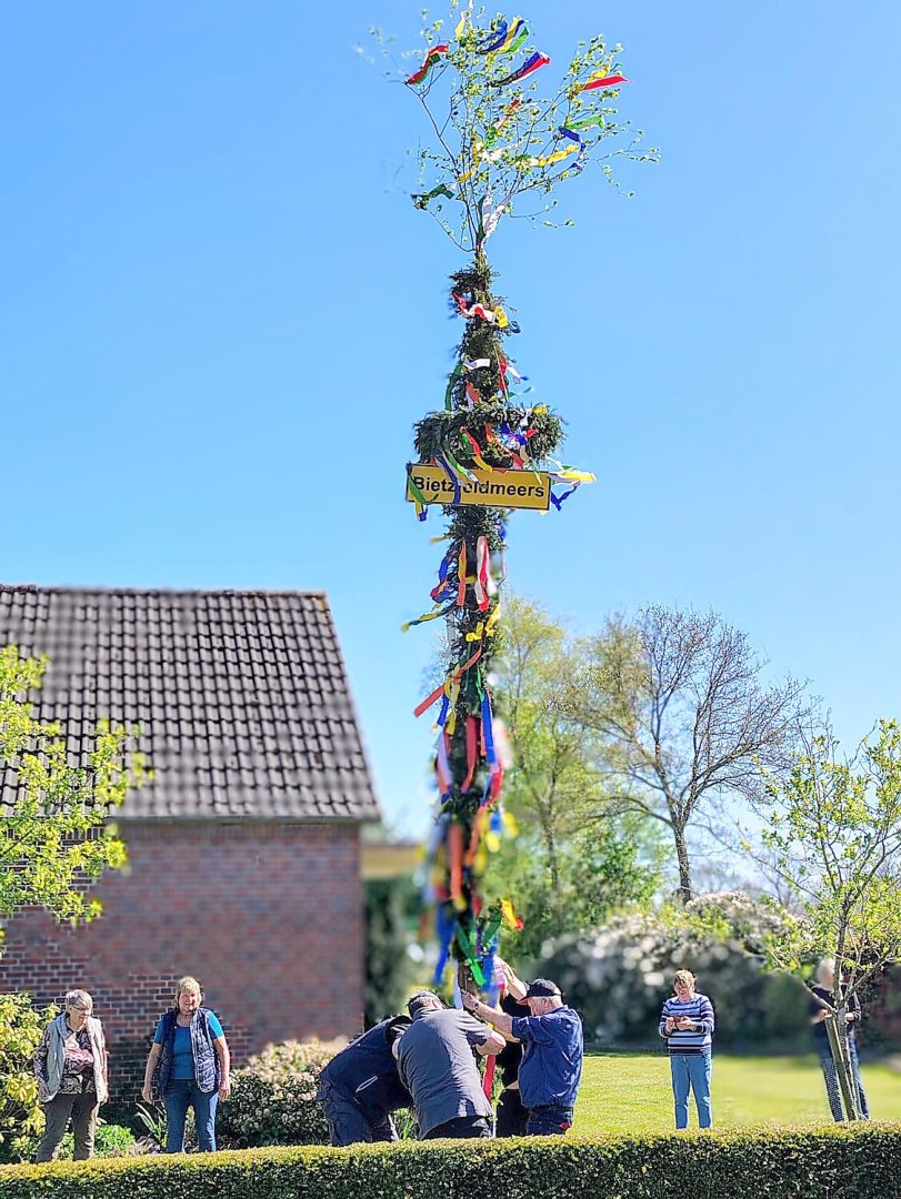 Maibäume – das sind die Bilder aus Ostfriesland - Bild 15