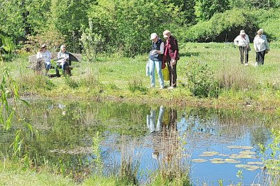 Bilder vom Staudenmarkt in Pagels' Garten in Leer - Bild 2