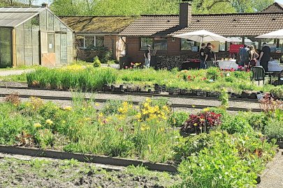 Bilder vom Staudenmarkt in Pagels' Garten in Leer - Bild 4