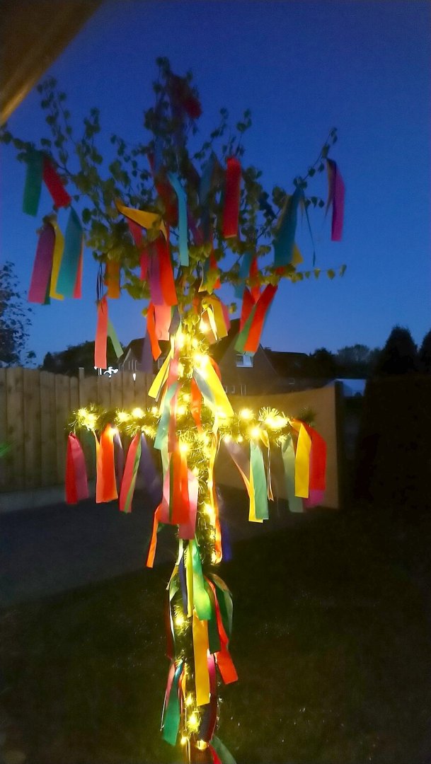 Maibäume – das sind die Bilder aus Ostfriesland - Bild 24