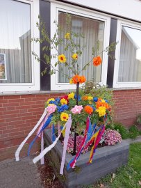 Maibäume – das sind die Bilder aus Ostfriesland - Bild 26