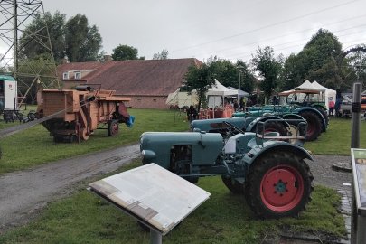 Arbeitspferde und Nadelbinden hautnah erleben - Bild 3