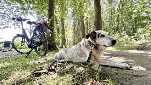 Hitzewelle in Ostfriesland - Bild 2