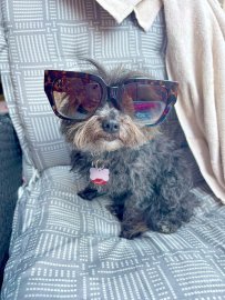 Schickt uns euer schönstes Sommer-Selfie - Bild 5