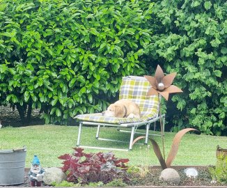 Schickt uns euer schönstes Sommer-Selfie - Bild 7
