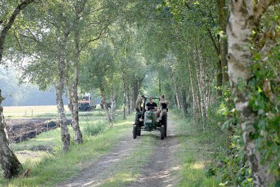 Oldtimertreffen in Veenhusen - Bild 3