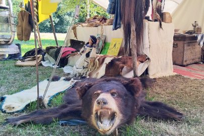 Sommerfest lockt viele Besucher nach Basswood Grove - Bild 2