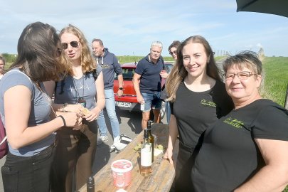 Weinwanderung in Holte - Bild 4