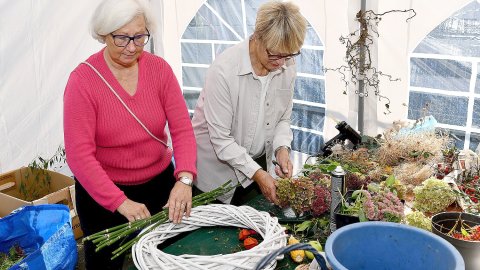 Oldersumer Herbst mit ganzer Vielfalt des Apfels - Bild 4