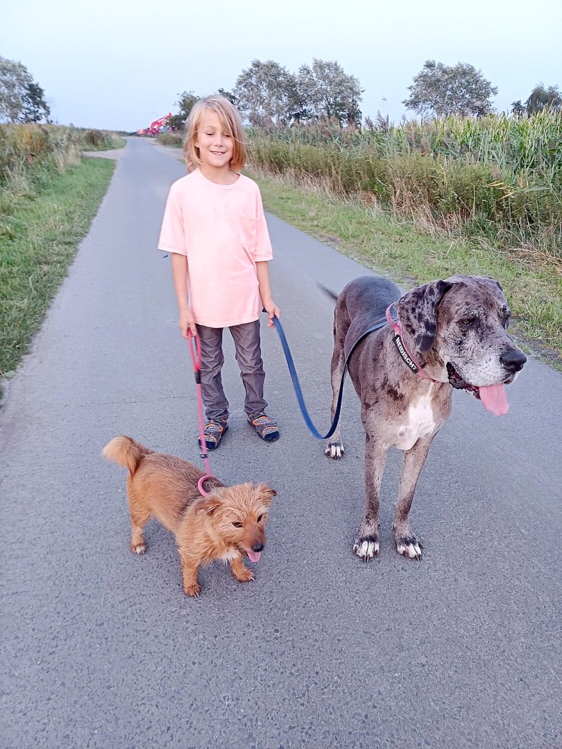 Die schönsten Hunde-Fotos aus Ostfriesland (Galerie I) - Bild 21