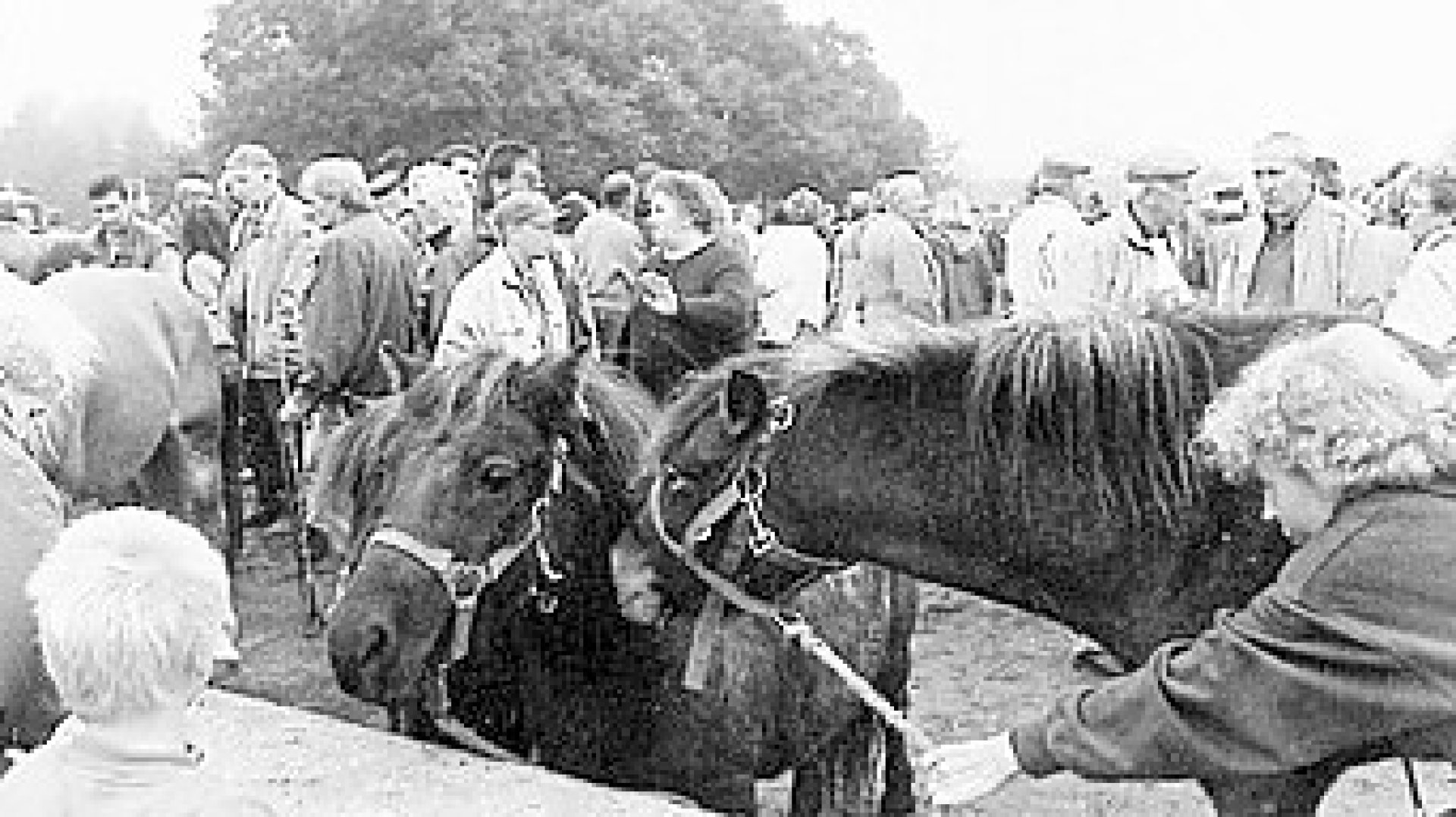 Bilder vom Gallimarkt 1998 - Bild 1