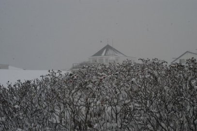 Schnee auf Norderney - Bild 4
