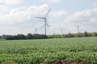 Neuer Widerstand gegen Windpark Kammersand - Bild 4