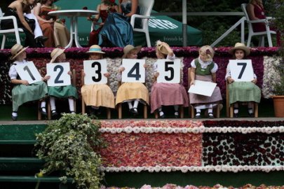 Blütenfest - Bild 3