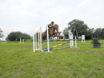 Reitanlage Würdemann schließt - Bild 3