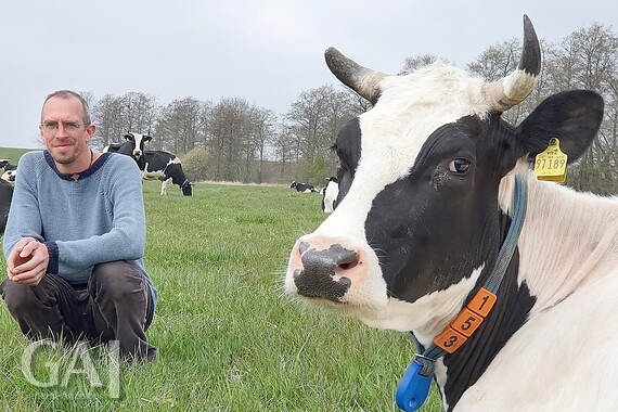 Hier können Verbraucher ihr Gemüse selber ernten - General-Anzeiger