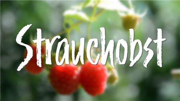 In d' Tuun: Strauchobst