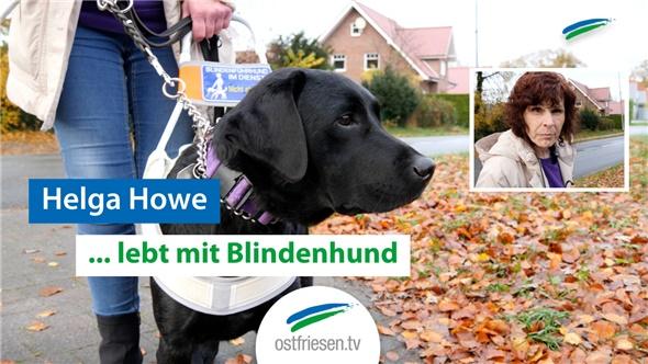Mit einem Blindenhund an der Seite | So lebt Ostfriesland